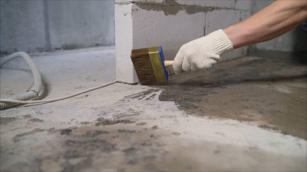 SJ Waterproofing Pros Waterproofing coverage map for Luna Pier, MI and surrounding area